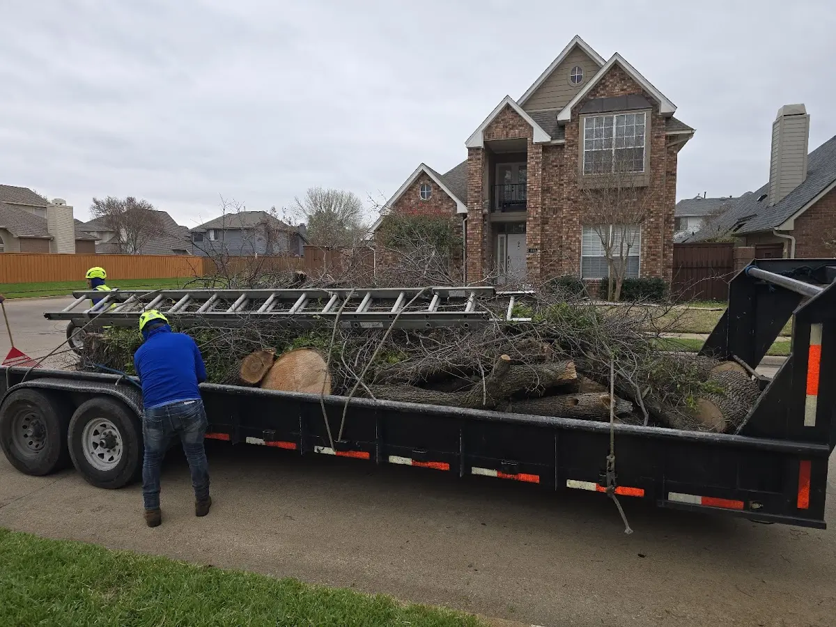 Expert Tree Fertilization with proper safety equipment in Rozel